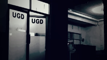 (Foto ilustrasi - Istimewa)